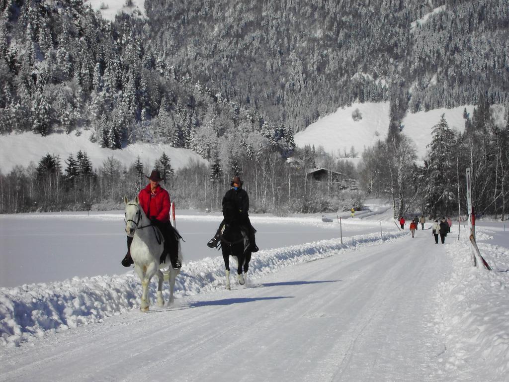 Bergheim Komfort Ferienwohnungen Walchsee Eksteriør billede