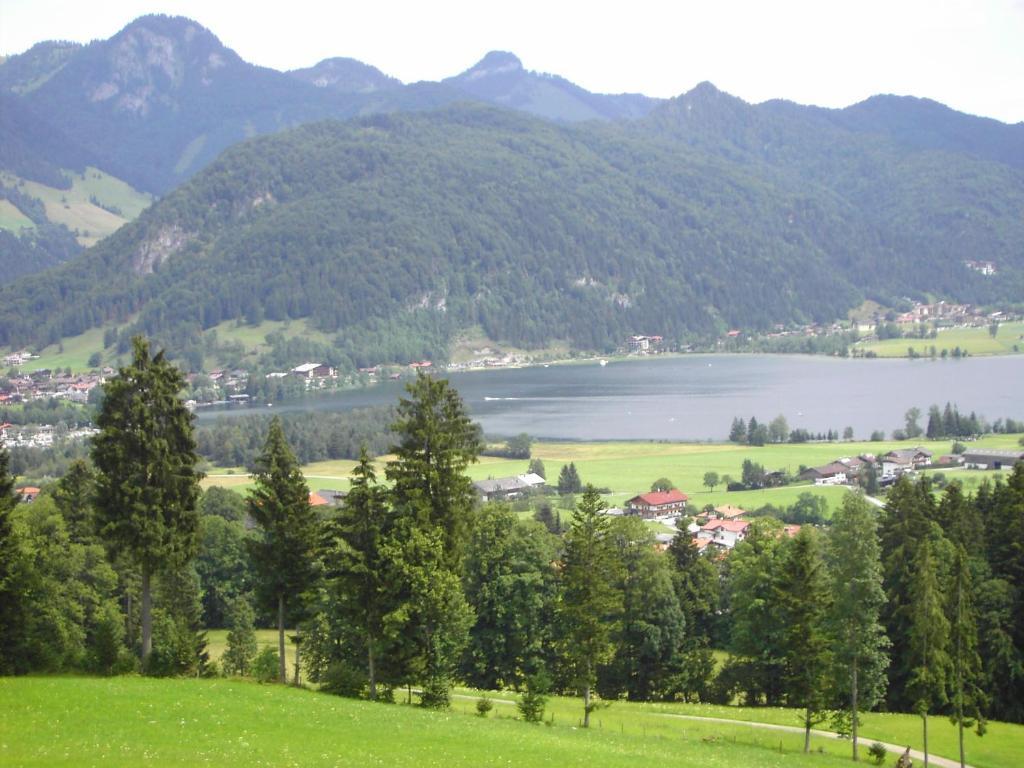 Bergheim Komfort Ferienwohnungen Walchsee Eksteriør billede