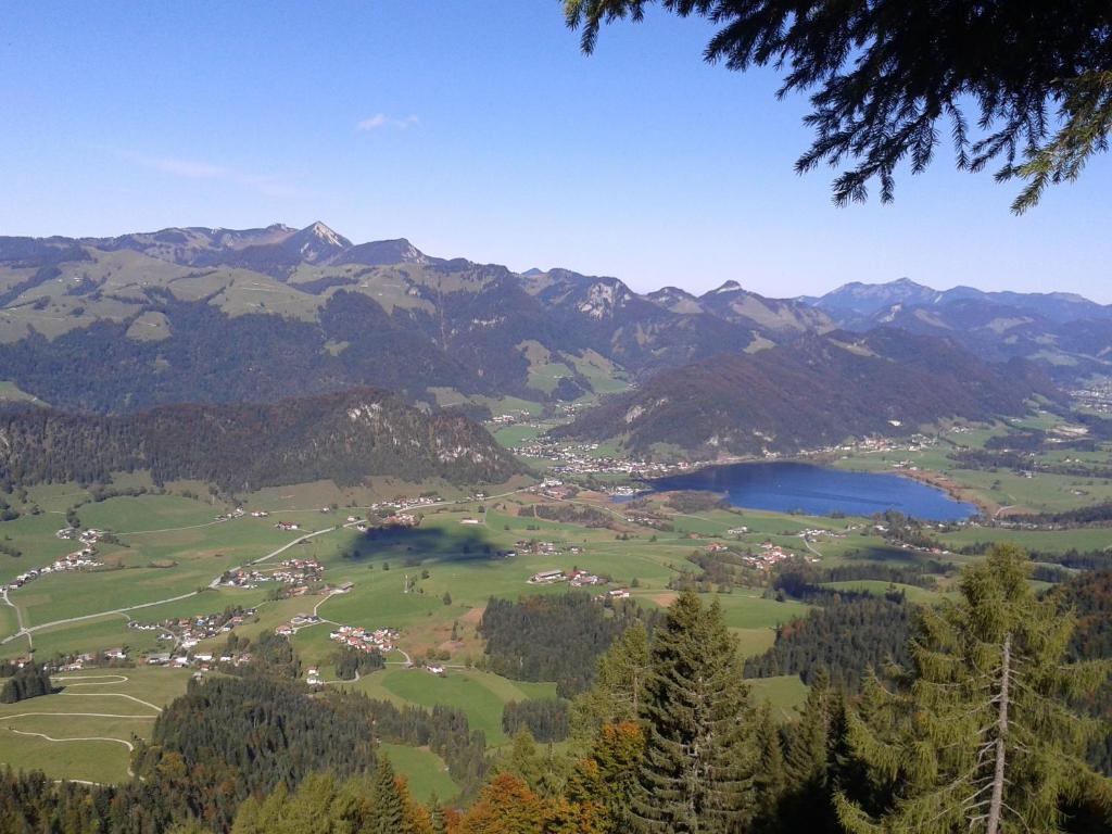 Bergheim Komfort Ferienwohnungen Walchsee Eksteriør billede